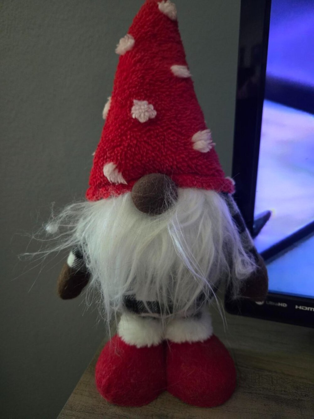 Cute gnome